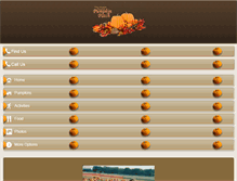 Tablet Screenshot of flowermoundpumpkinpatch.com